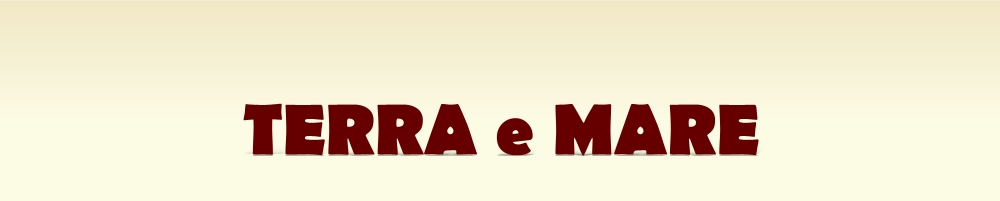 my Company